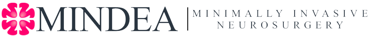 Prof. Dr. Stefan Mindea