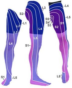 Dermatomes Lumbar