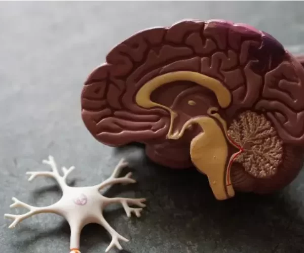 Investigatii avansate pentru tumori cerebrale de tip glioblastom