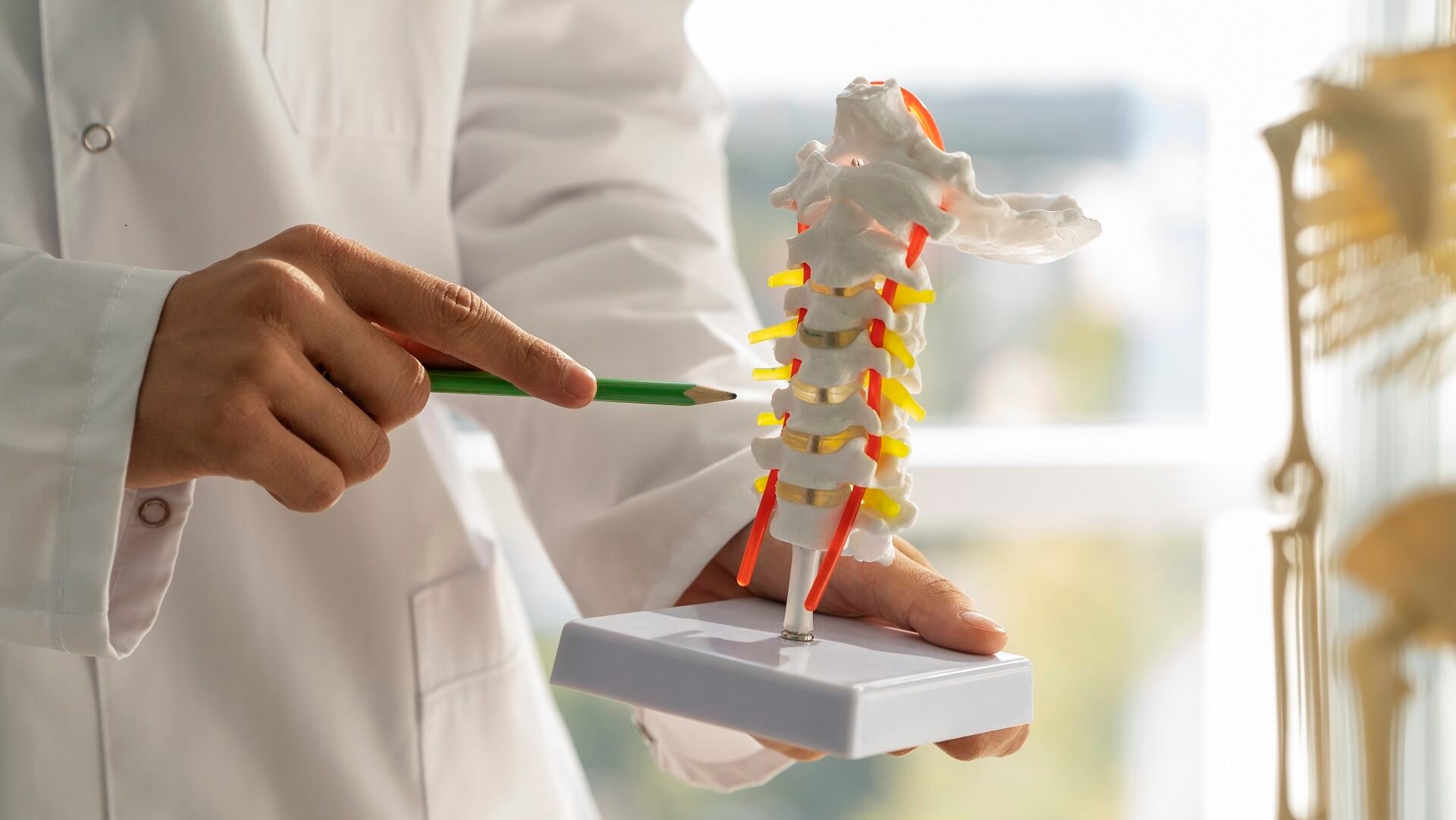 Asemănări între discopatia lombară și hernia de disc lombară